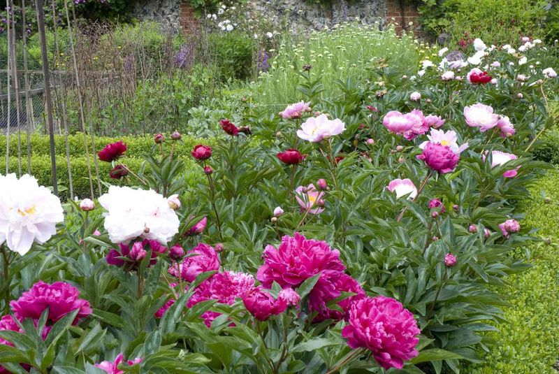 12. Fall Cleanup Differs From Deadheading