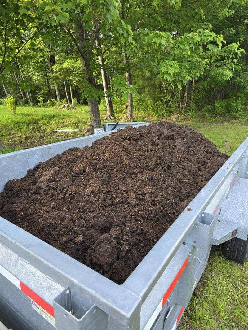 Fresh Manure