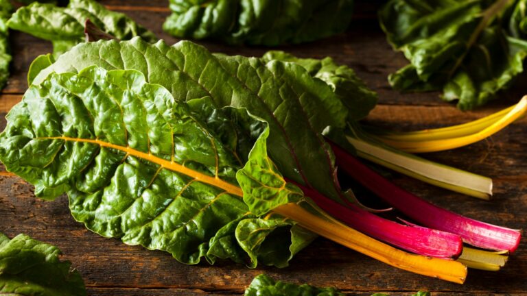 rainbow swiss chard