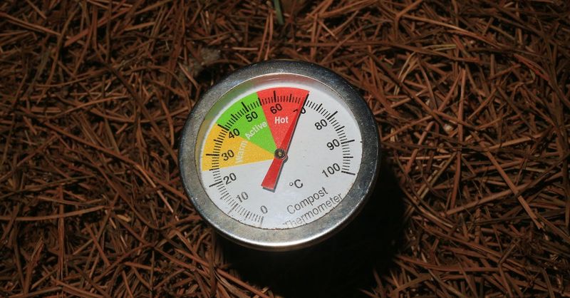 13. Carbon-To-Nitrogen Balance Control