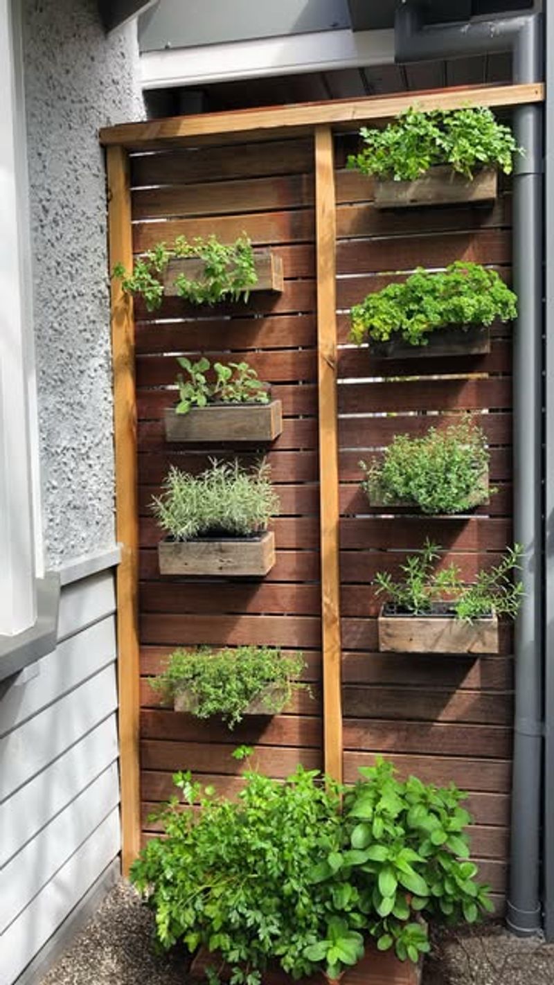 Vertical Garden Wall