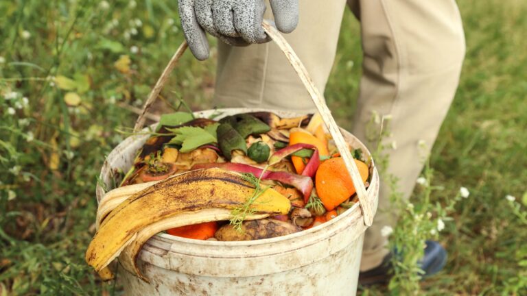 composting ingredients in a bucket
