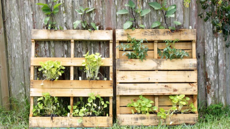 Vertical Pallet Garden