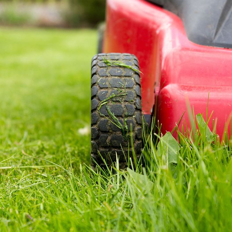 Mow High During Heatwaves
