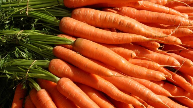 carrots