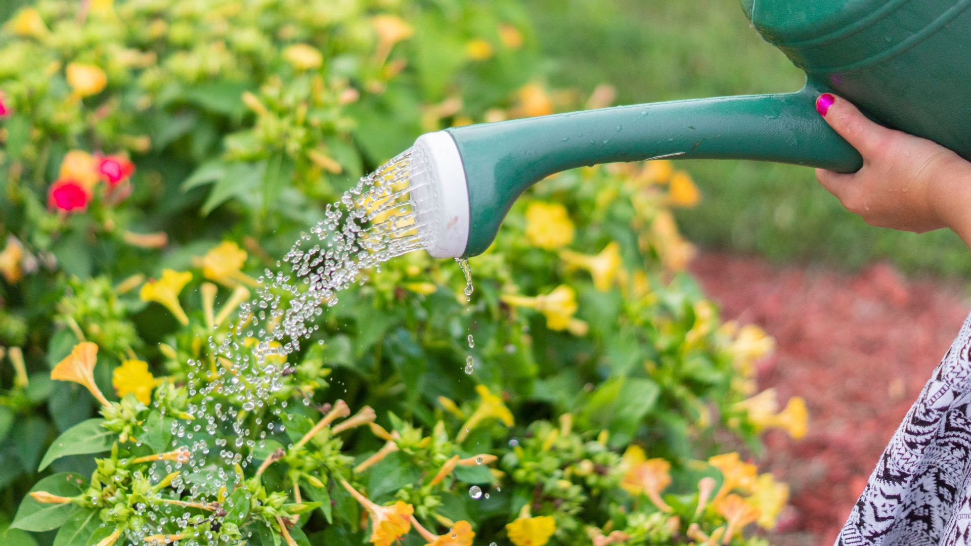 gardening