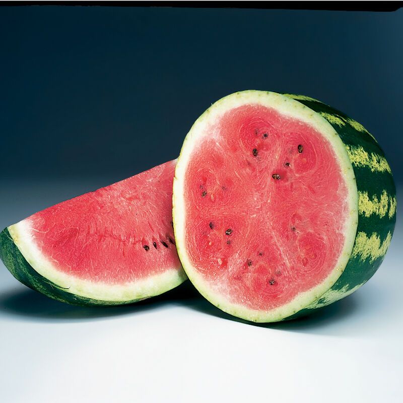 Choose The Right Variety For Your Climate
