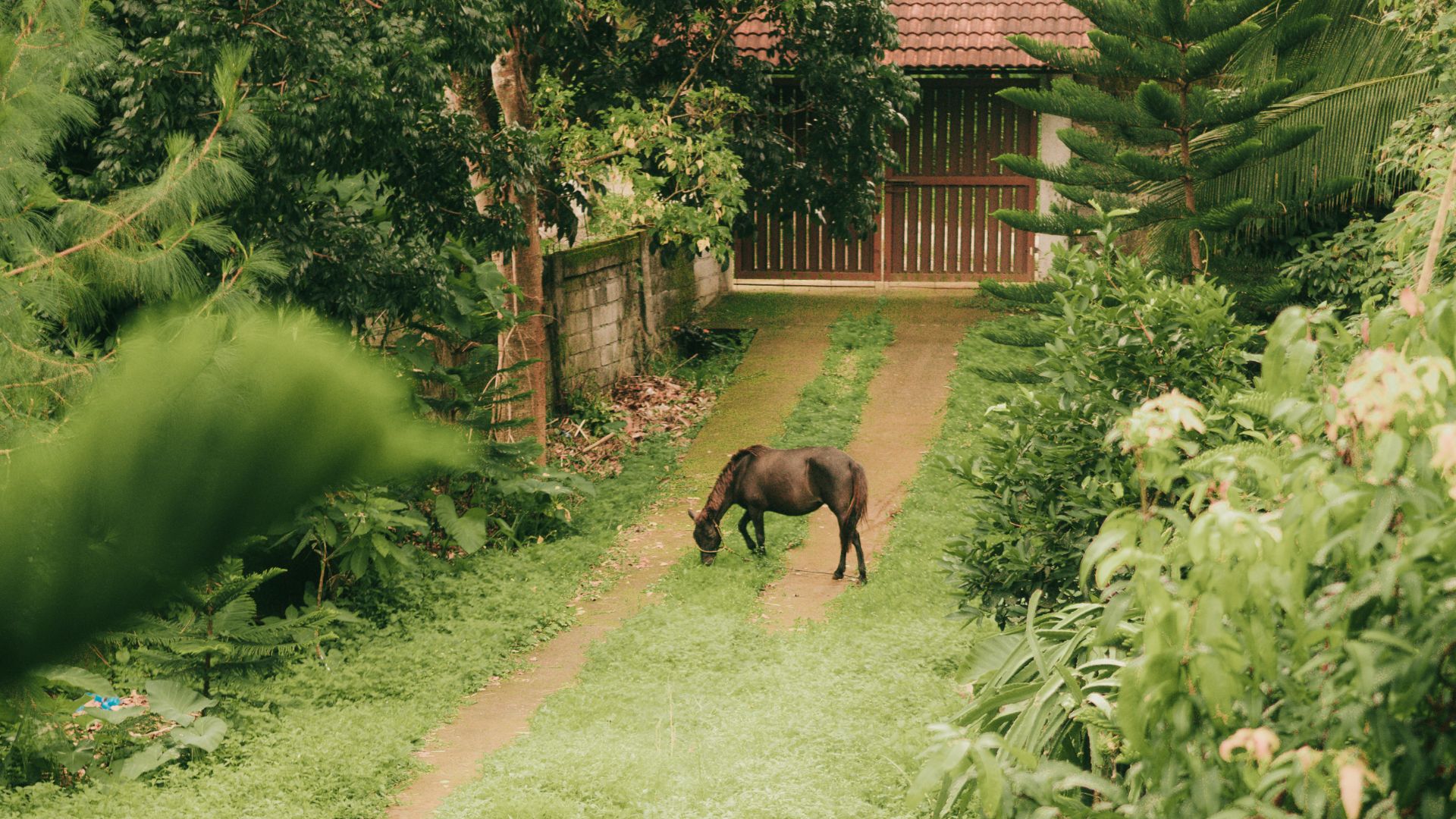13 Scents In Your Garden That Horses Can’t Stand (Plus What To Plant Instead)
