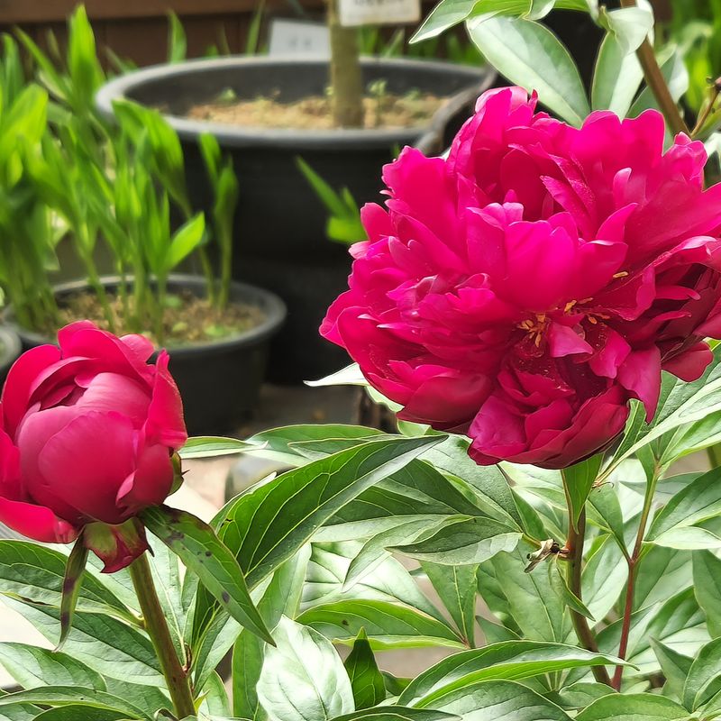 14. How Weather Affects Your Deadheading Decision