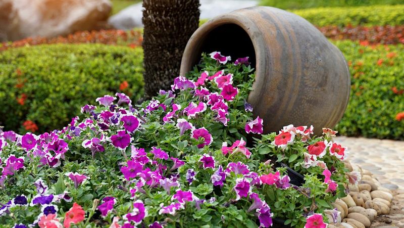 14. Manage Weeds Without Chemicals
