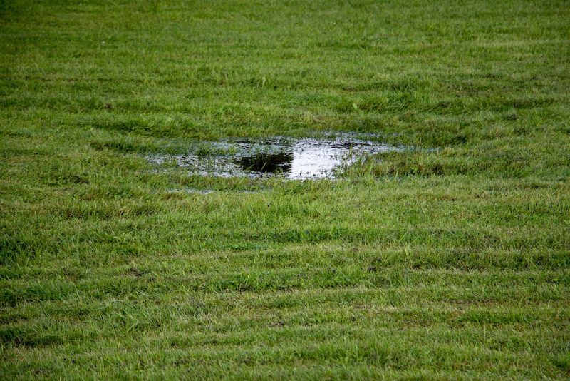 14. Ignoring Drainage Issues