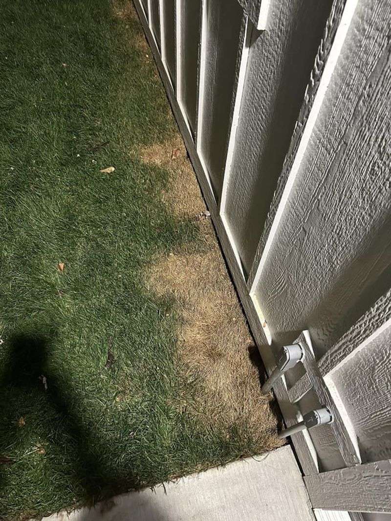14. Ignores Seasonal Timing For Repairs