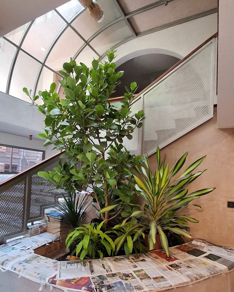 14. Choose Drought-Tolerant Plants