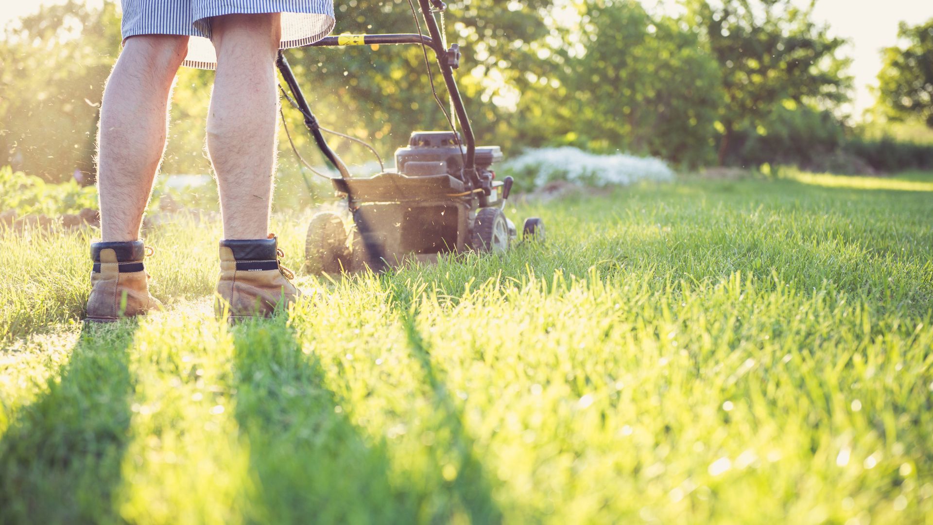 man mows lawn in summer