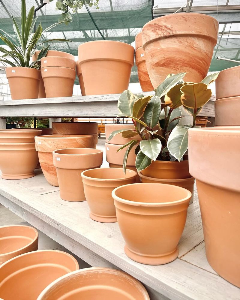 Choose the Right Planters