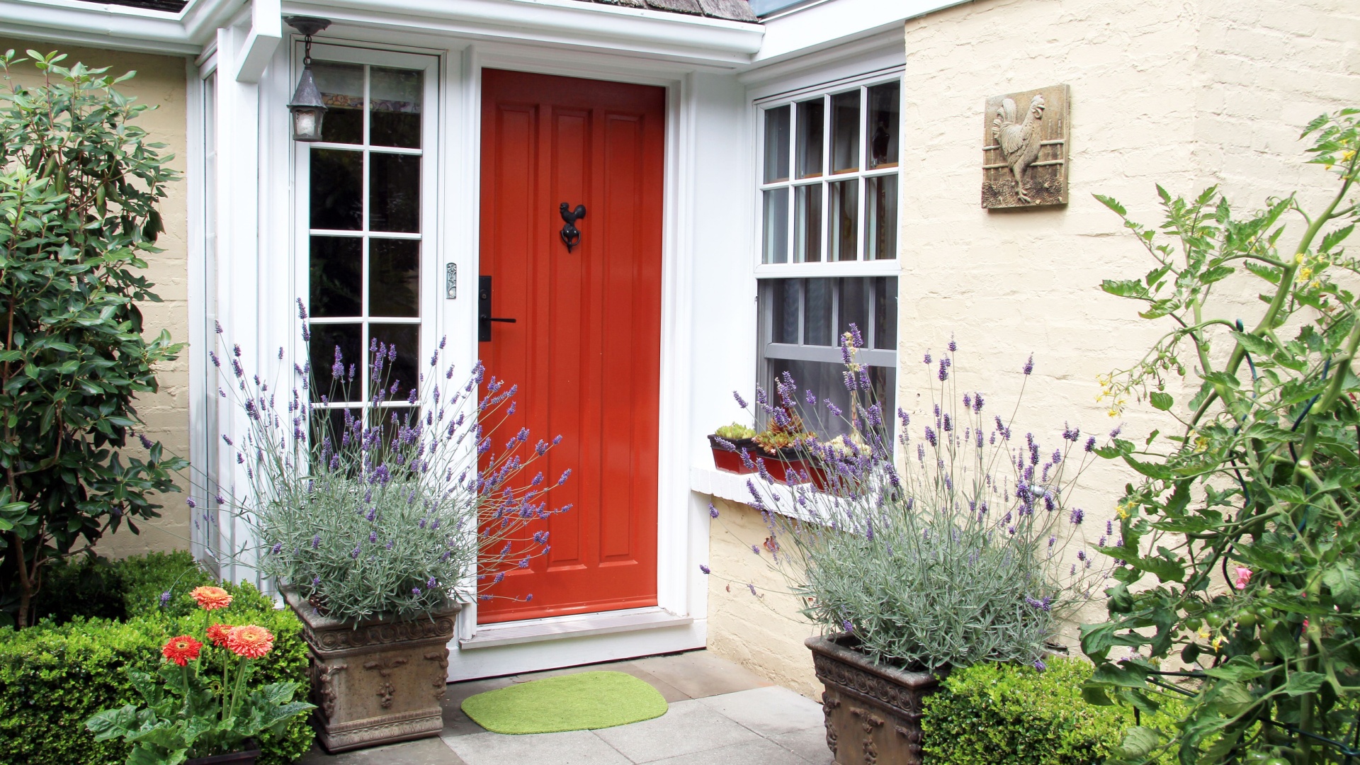 19 Reasons Lavender Belongs By Your Front Door (Plus How To Grow It Right)