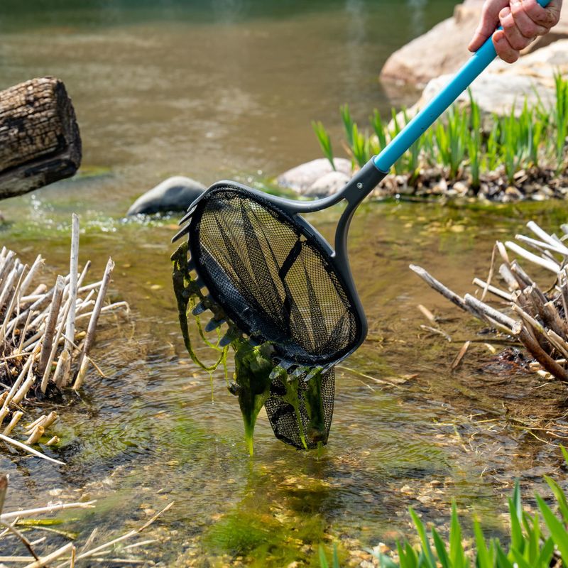 Skim Surface Debris Regularly