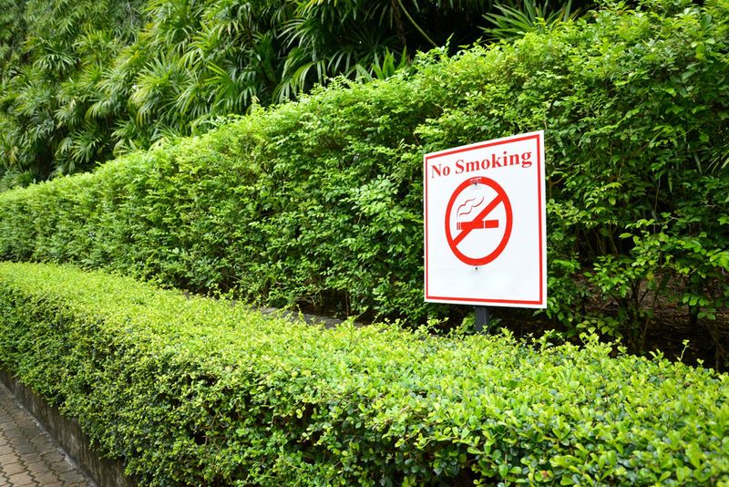 Cigarette Smoke Suffocates Growth