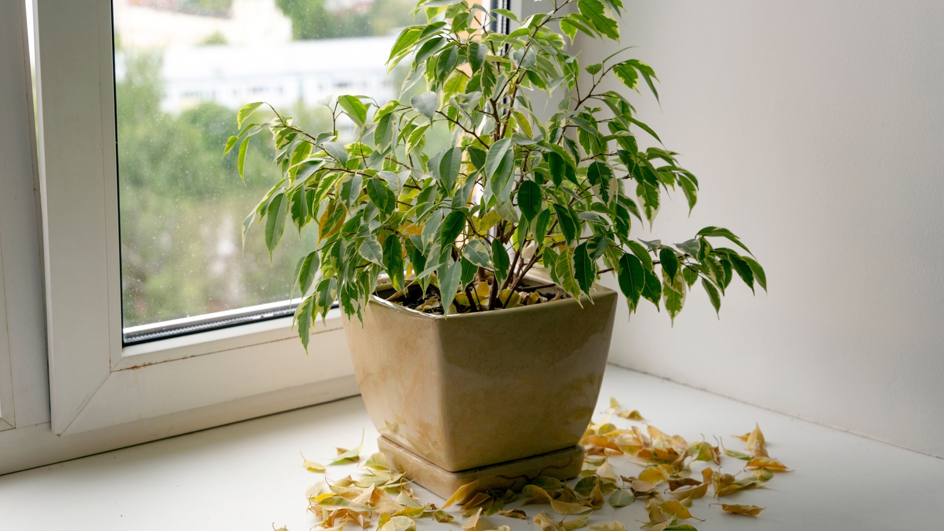 14 Smells That Stress Plants—And 5 That Help Them Thrive