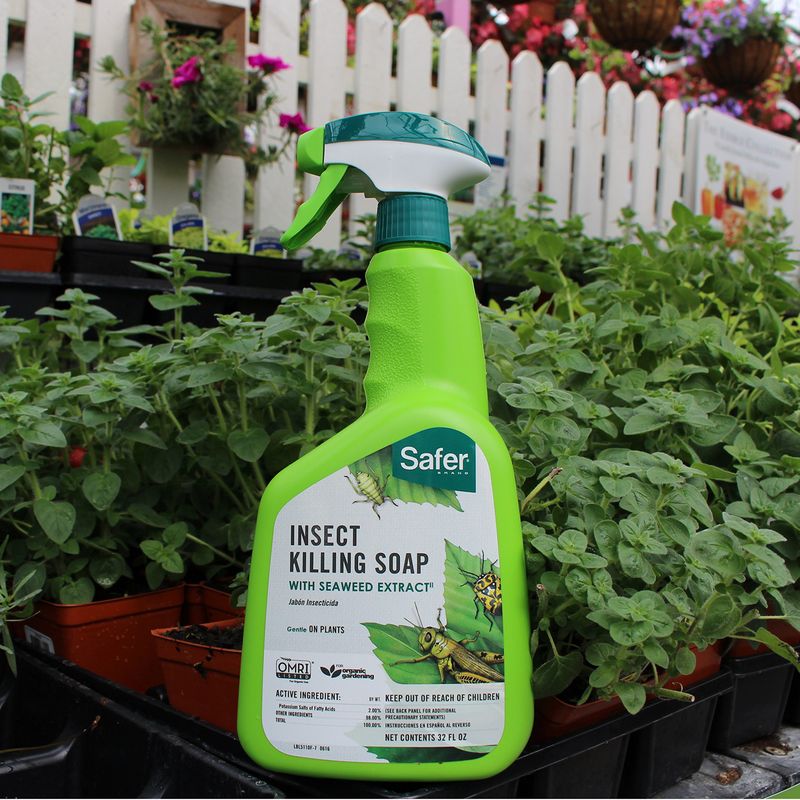 15. Using Chemical Pesticides Carelessly
