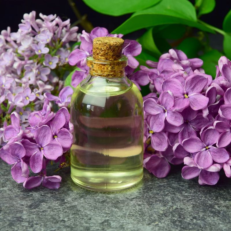 15. Lilac-Infused Oil
