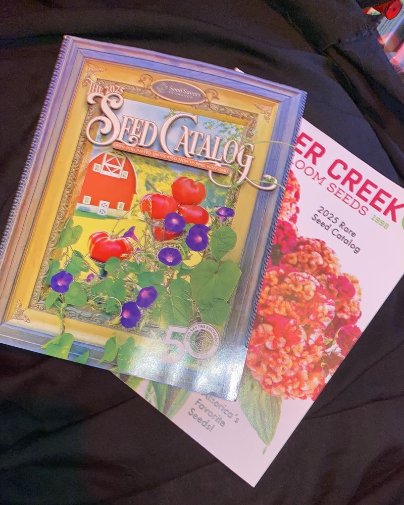 Start a Seed Exchange