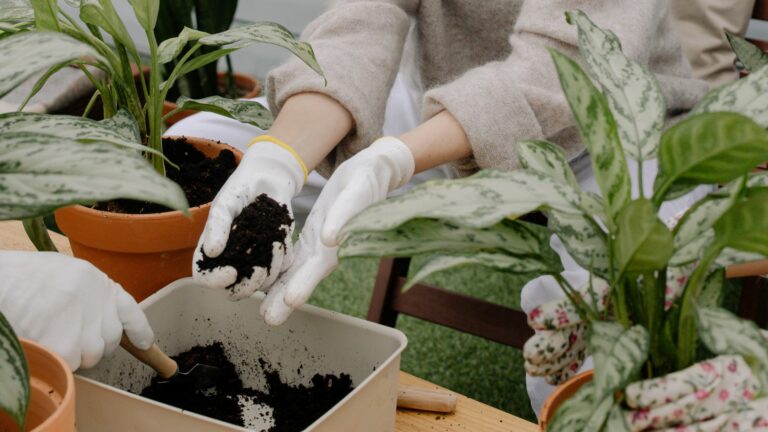 Gardeners Putting Soil in a Container