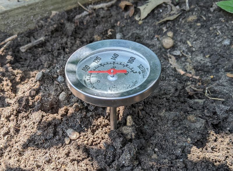 Planting Too Early