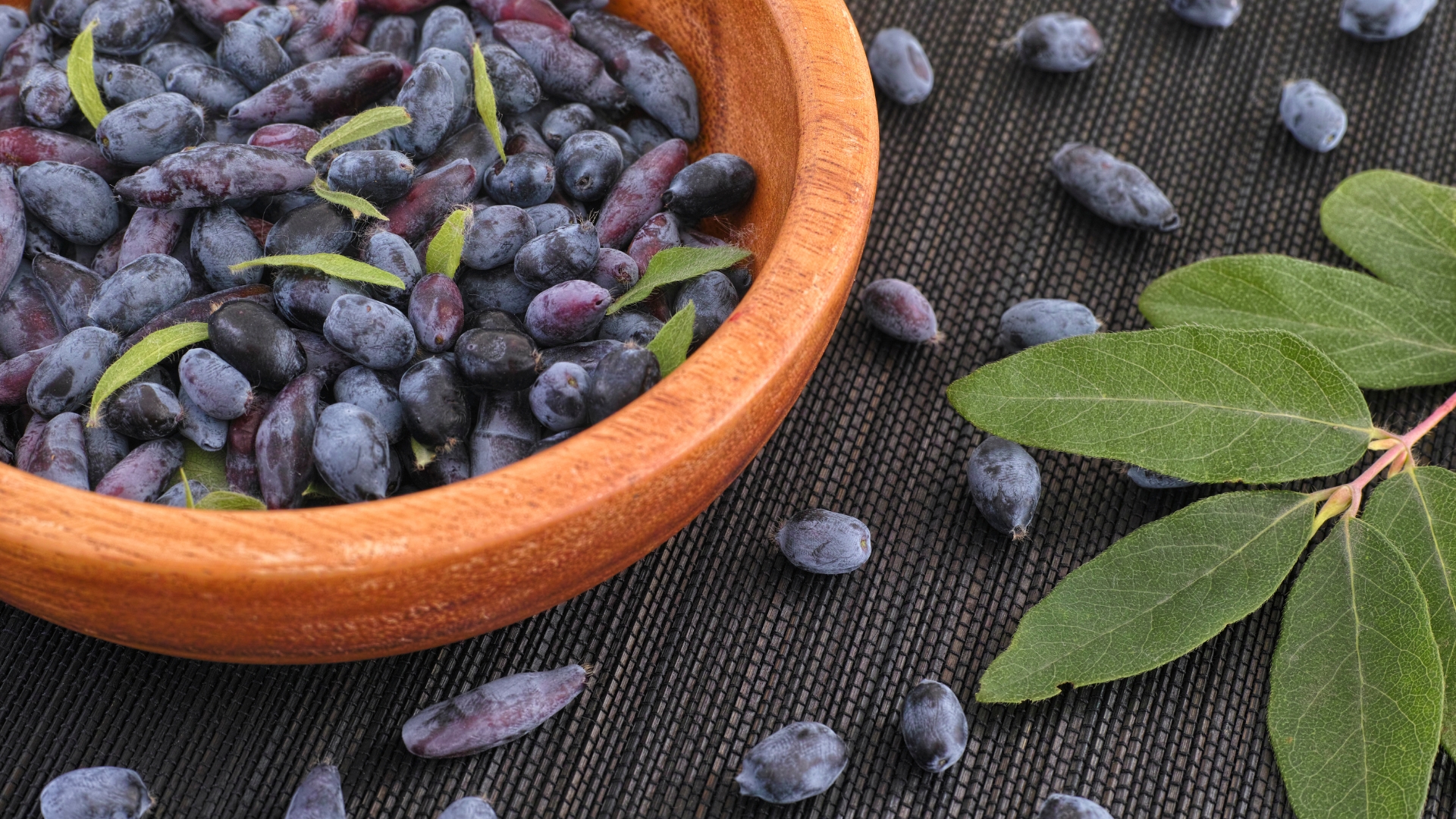 15 Easy Ways To Grow Honeyberry Plants For Nutritious Fruits (Plus Tips For Cold-Hardy Shrubs)
