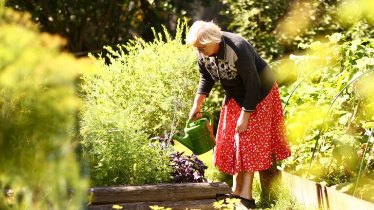 grandma watering a plant