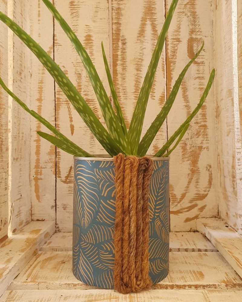 Rustic Plant Pots