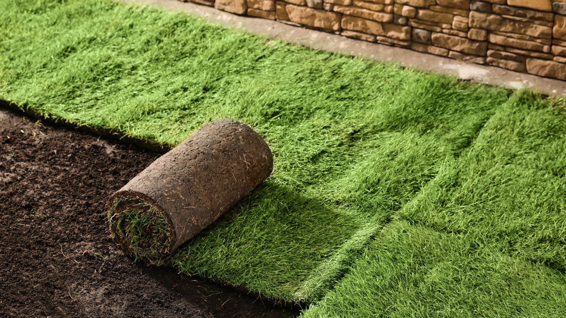 Laying Grass Sods at Backyard. Home Landscaping