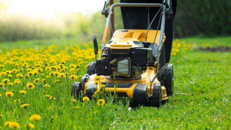 gardener mows a lawn
