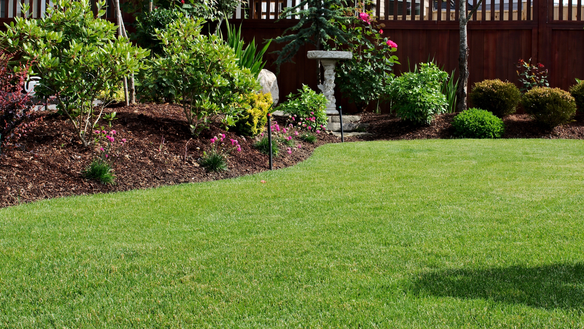 15 Must-Know Tips Before You Dethatch Your Lawn (Plus What Tools Work Best)