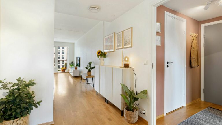 plants in an entryway