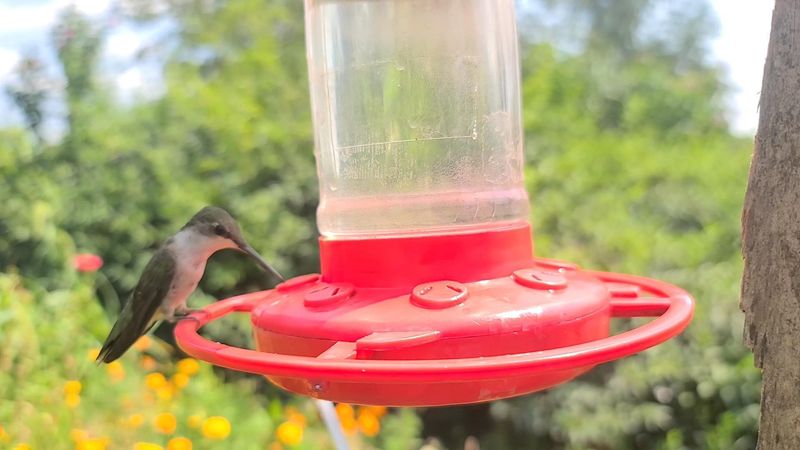 1. Less Nectar Waste