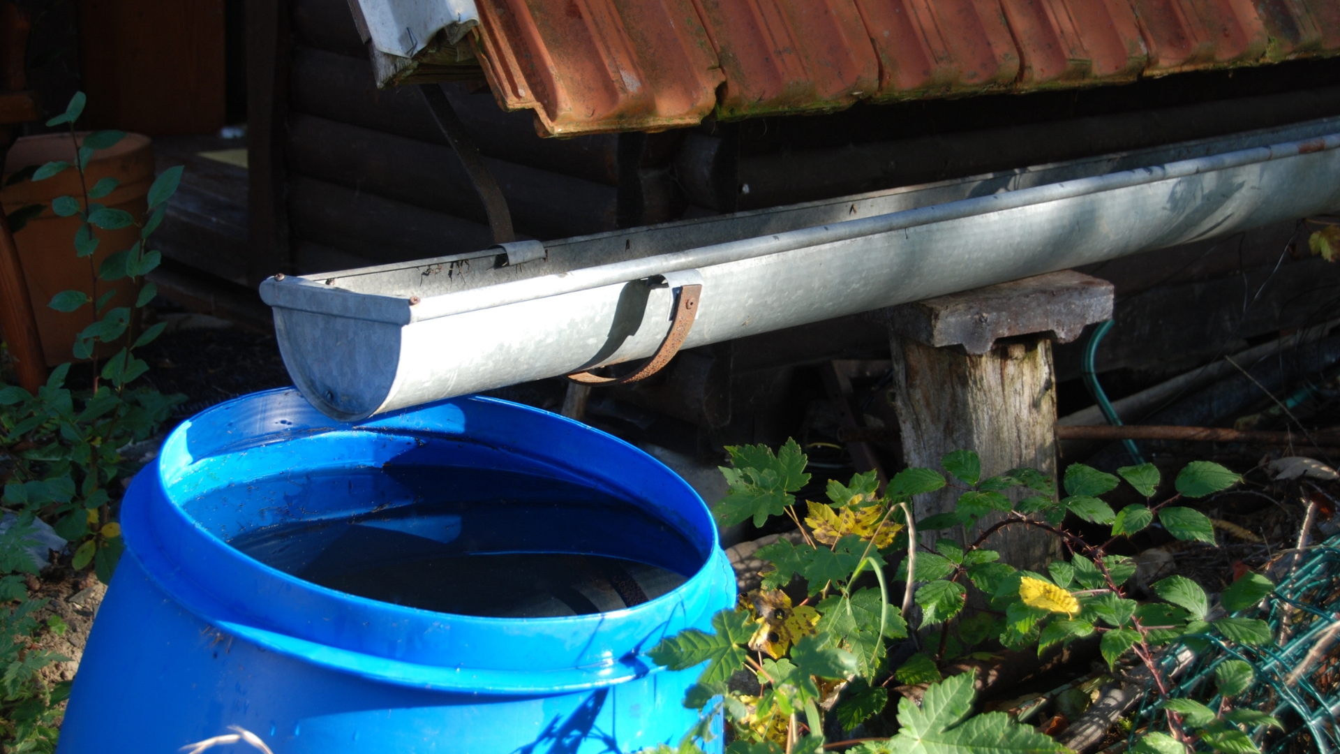 15 Smart Tips To Reduce Water Usage In Your Garden (And Still Keep Plants Thriving)
