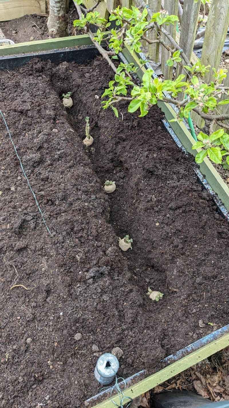 Proper Spacing Techniques