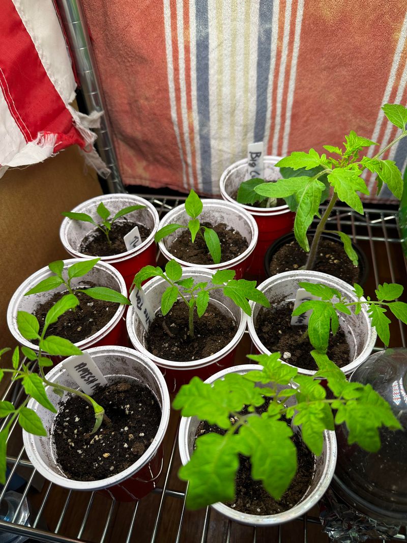 Calculate Your Garden's Exact Needs