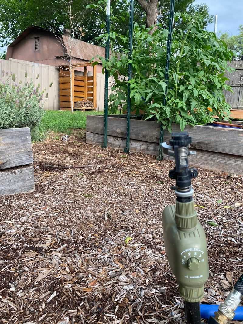 Install Motion-Activated Sprinklers