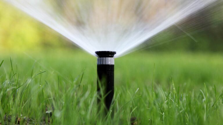 sprinkler system