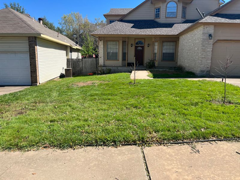 Map Your Yard Before Starting
