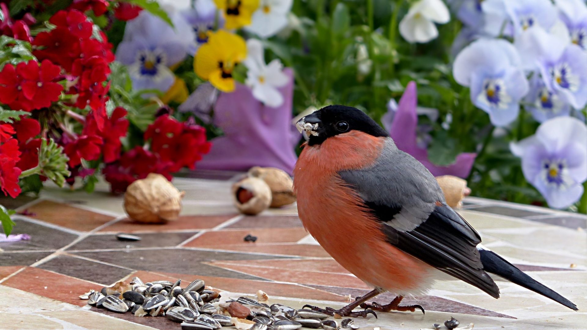 15 Ways Birds Can Help Reseed Your Garden (And What Might Surprise You Most)
