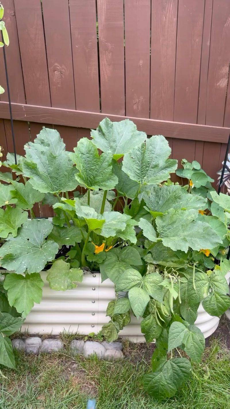Space Plants Properly