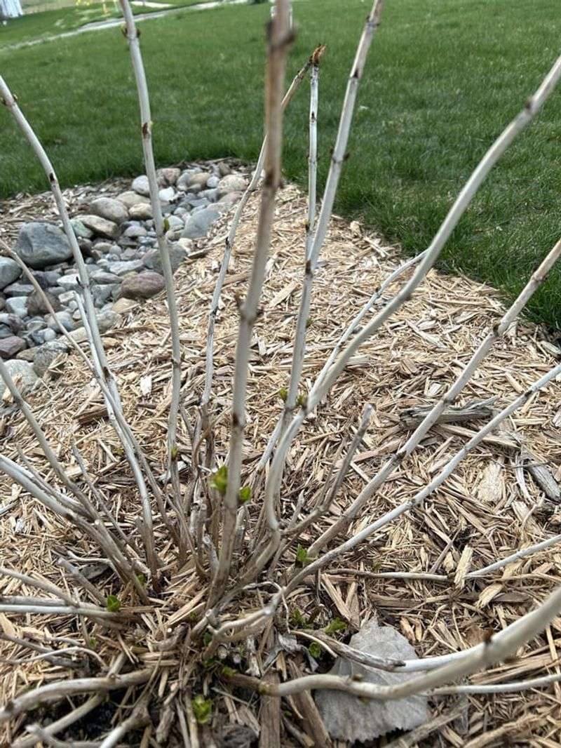 Pruning At The Wrong Time