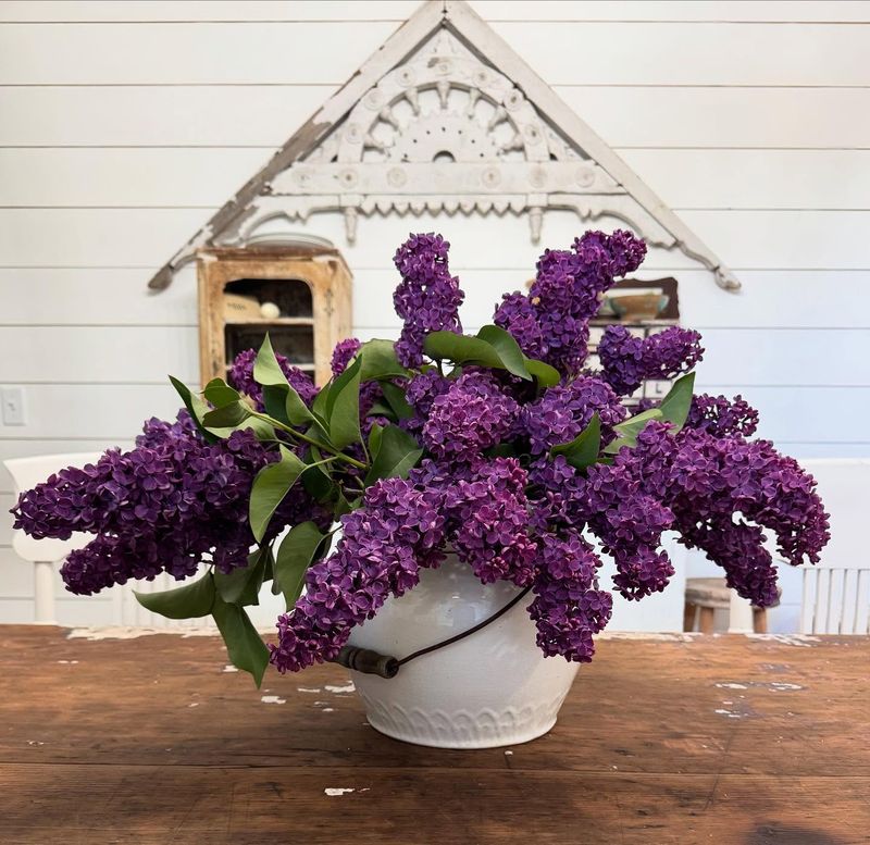 16. Lilac Shadow Box Display