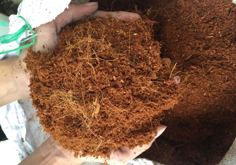 16. Forgetting To Mulch Basket Surfaces