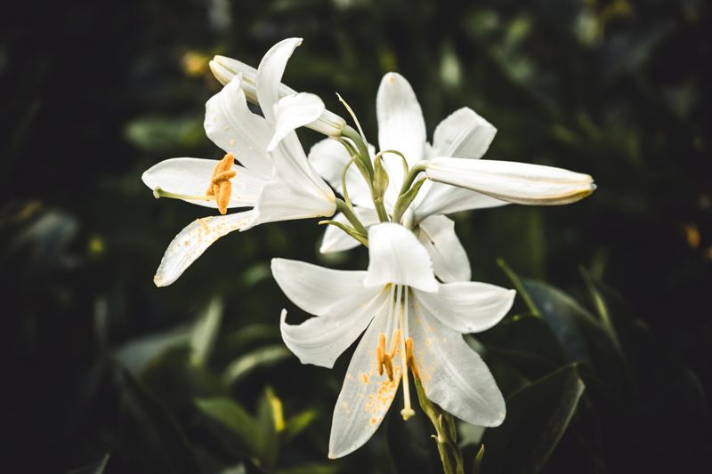 16. Reveals Hidden Plant Problems