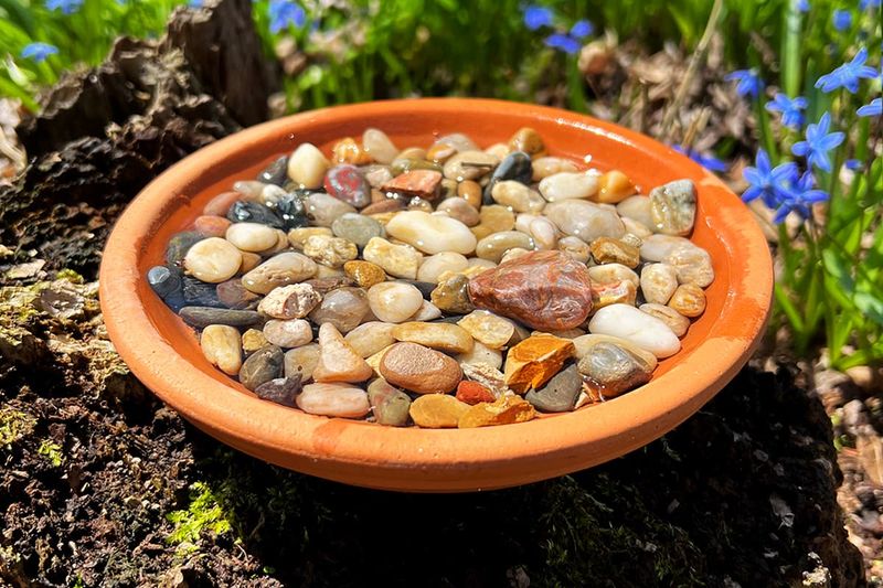 Shallow Dish with Pebbles