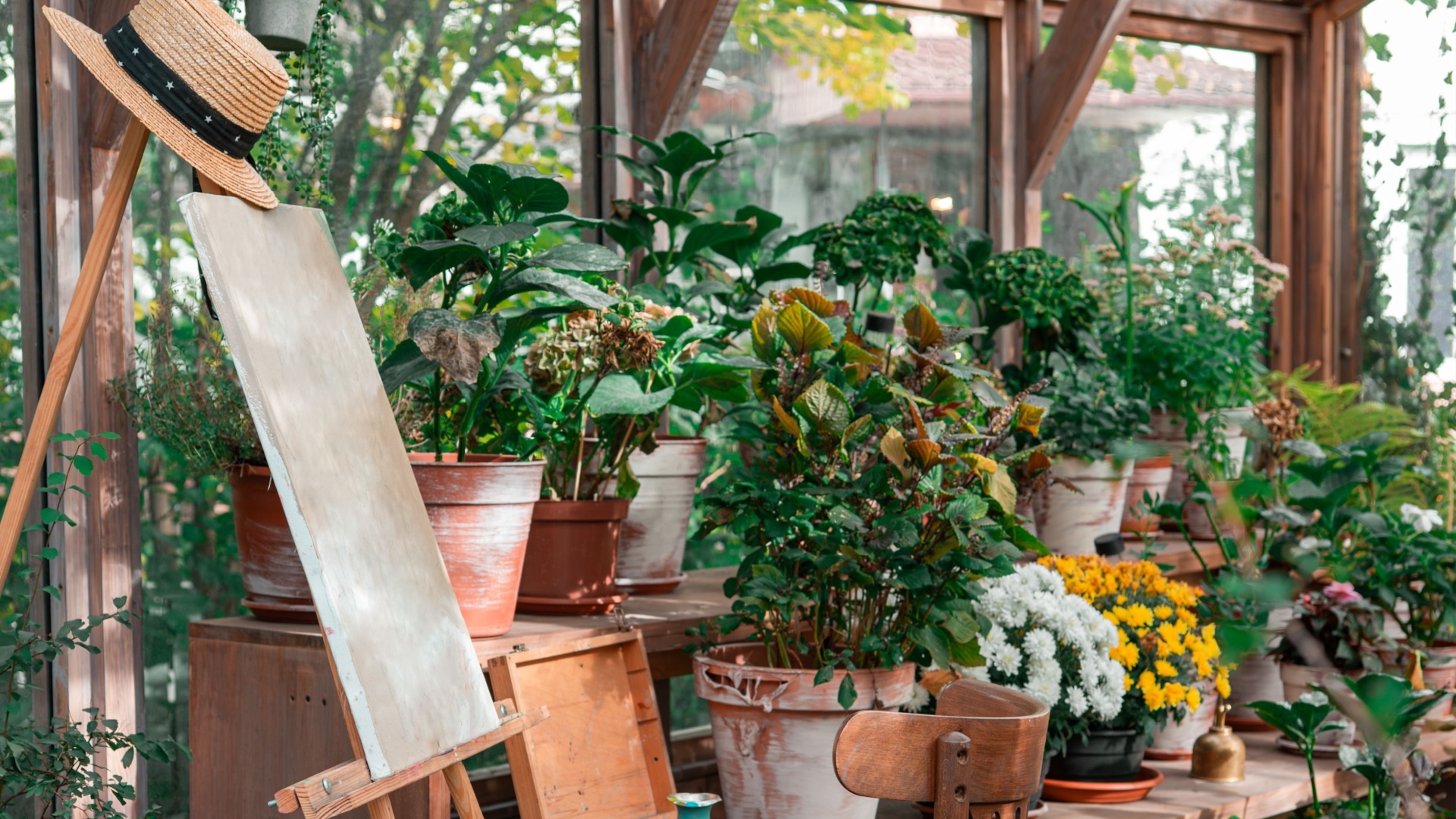 greenhouse interior